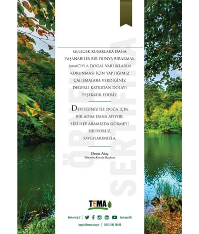 Mete Plastik & Tema Foundation